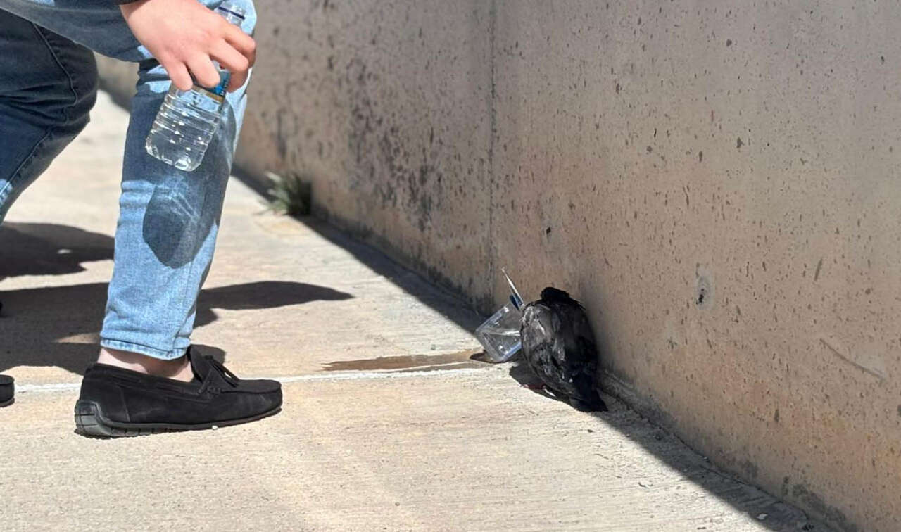 Boya fabrikasında yangın! 1 teknisyen hayatını kaybetti 9